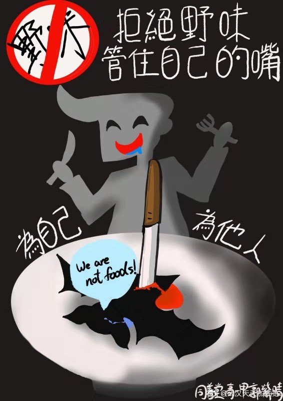 學生為武漢加油:高一甲 郭紫晴 不要亂吃野味