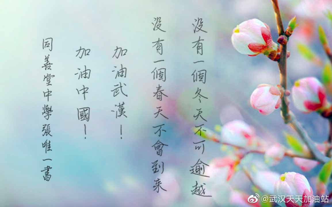 學生為武漢加油:高三甲 張唯一 武漢加油中國加油