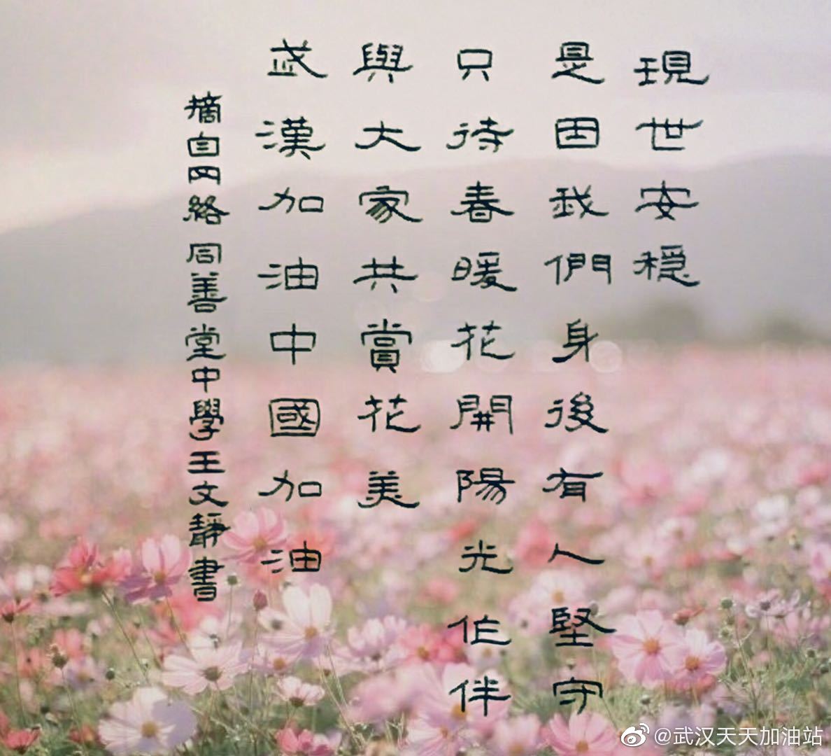 學生為武漢加油:初三乙 王文靜 中國加油武漢加油